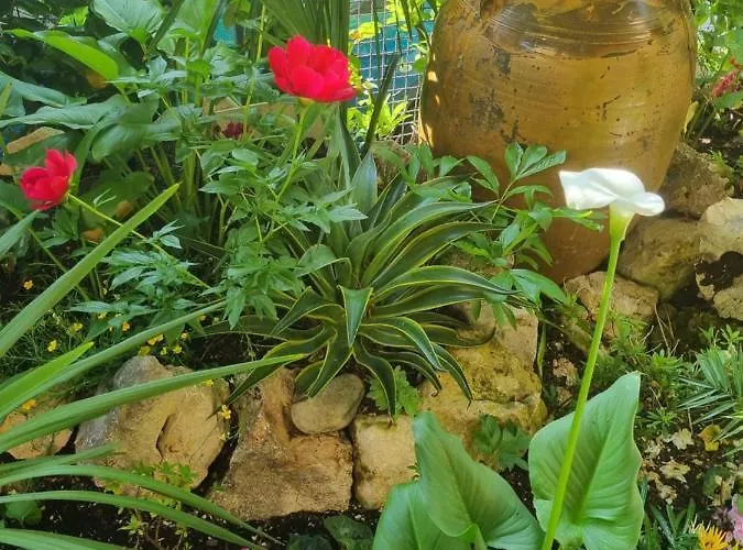 Stella Del Mar Bed & Breakfast