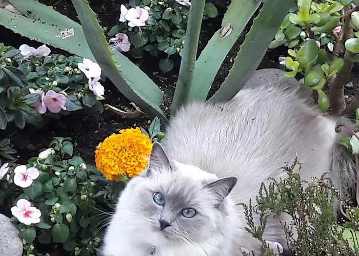 B&B Stella Del Mar 3*