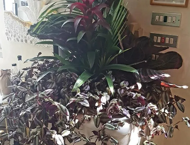 Stella Del Mar 3* 볼로냐