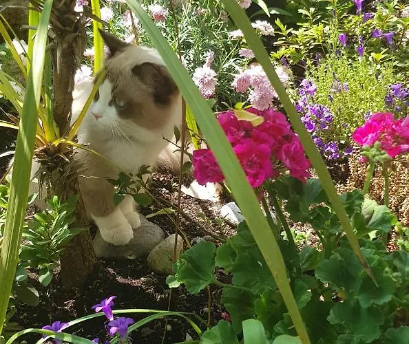 B&B Stella Del Mar 3*