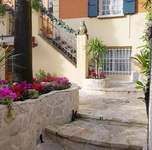 Stella Del Mar Bolonia