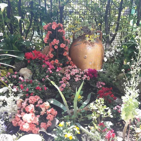 住宿加早餐酒店 Stella Del Mar