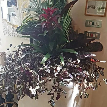 Stella Del Mar 3* Bolonha