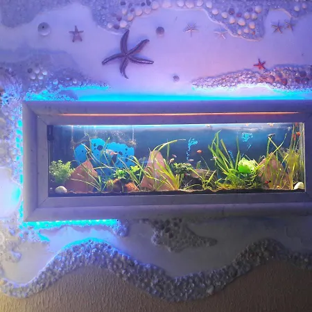 Stella Del Mar 博洛尼亚