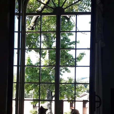 住宿加早餐酒店 Stella Del Mar 博洛尼亚