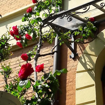Bed & Breakfast Stella Del Mar *