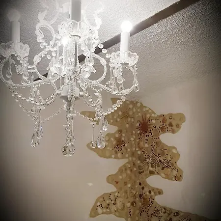 Stella Del Mar Bed & Breakfast Bologna