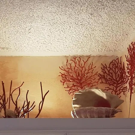 住宿加早餐酒店 Stella Del Mar 博洛尼亚