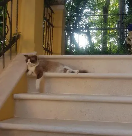 Alojamento de Acomodação e Pequeno-almoço Stella Del Mar 3*