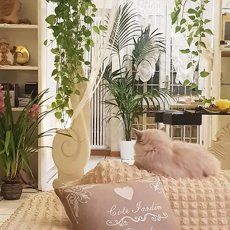 Stella Del Mar Bolonha