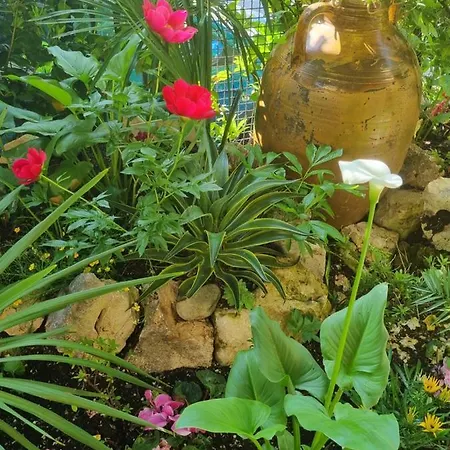 Stella Del Mar Alojamento de Acomodação e Pequeno-almoço