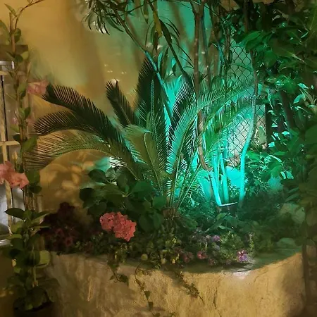 Stella Del Mar Bolonia