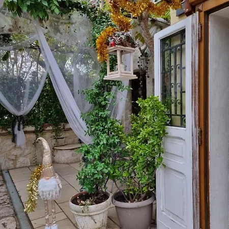 Stella Del Mar 博洛尼亚