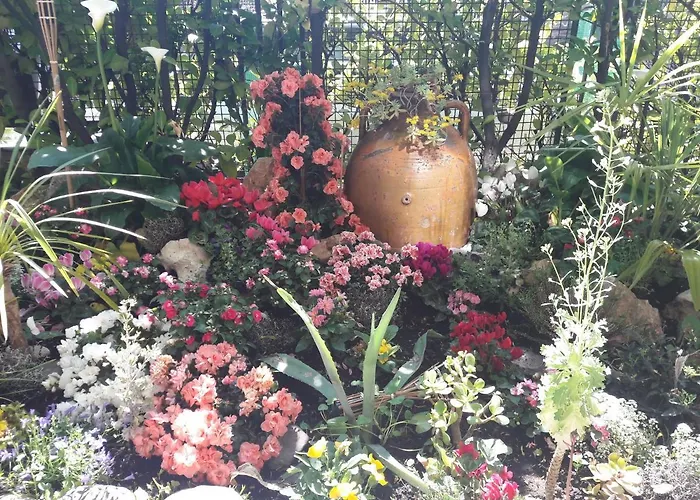 Couette-café Stella Del Mar