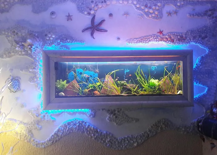 Stella Del Mar Bologne