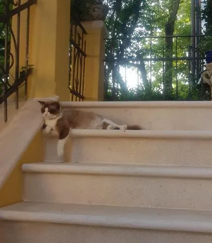 Couette-café Stella Del Mar 3*