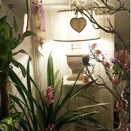 Stella Del Mar Bed and breakfast Bolonia