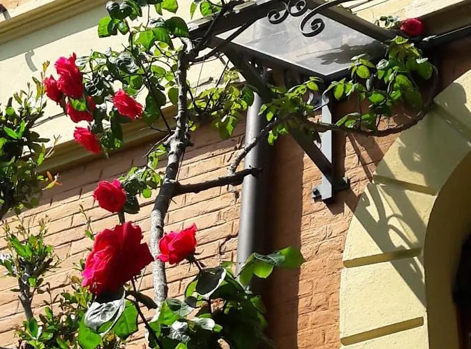 Bed & Breakfast Stella Del Mar 3*