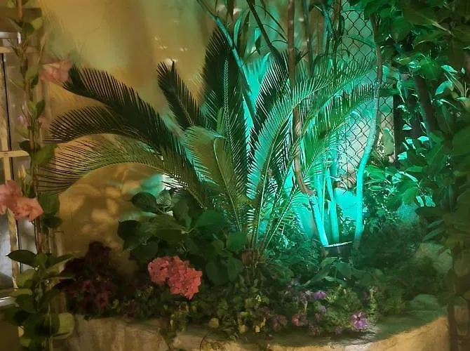 Stella Del Mar Bolonha